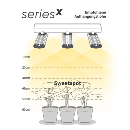 GCx Abstand zur Pflanze